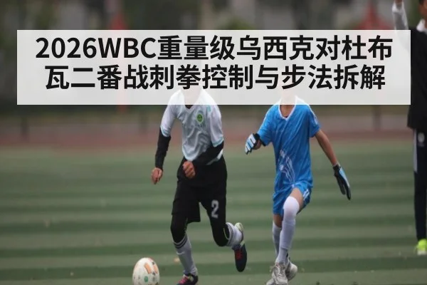2026WBC重量级乌西克对杜布瓦二番战刺拳控制与步法拆解